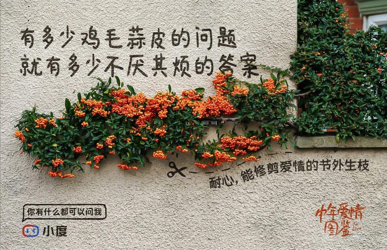 小度2023品牌短片，诠释爱情的陪伴感-广告人干货库