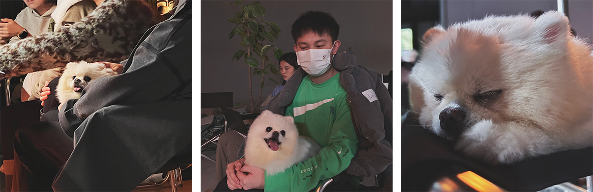 广告人干货库 广告人干货库
