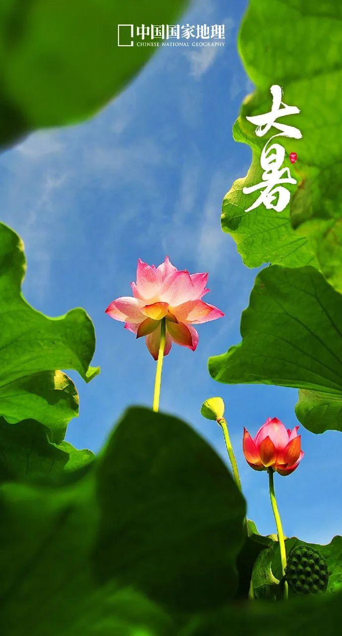 大暑借势海报来袭，隔着屏幕都感觉到清凉-广告人干货库