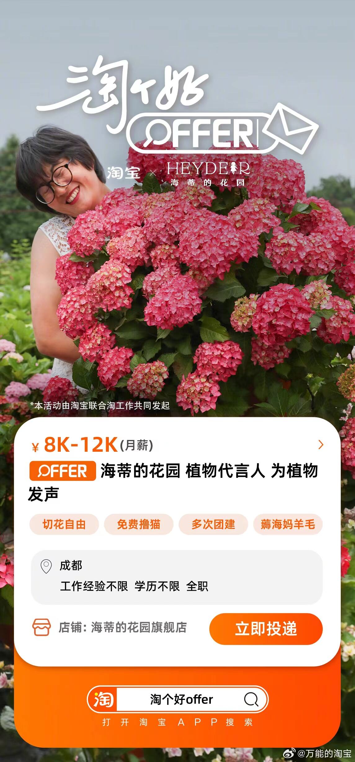 淘宝上线“淘个好offer会场”-广告人干货库