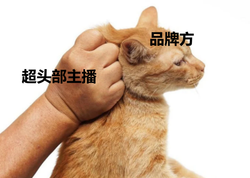 广告人干货库 那些整活儿的直播间-广告人干货库