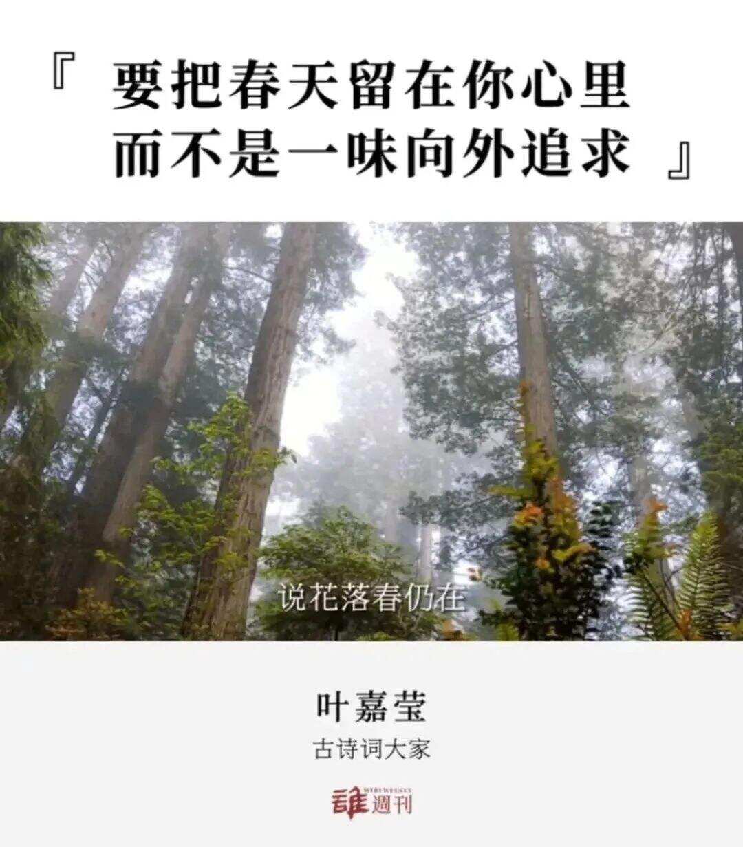 广告人干货库 100句文案,不负春天(2023年版)-广告人干货库