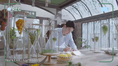 广告人干货库 饿了么开了家“美好春天有限公司”-广告人干货库