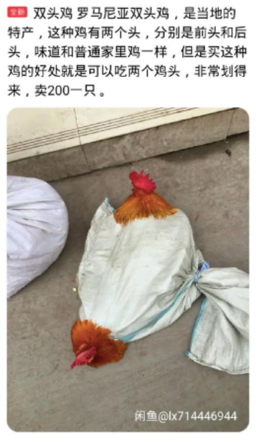 广告人干货库 好文案,懂发疯-广告人干货库