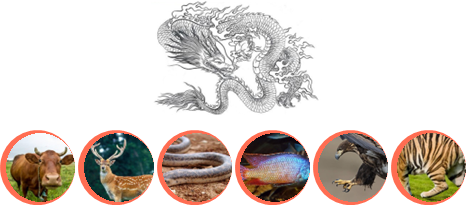广告人干货库 什么是创意?“创意”基础知识-广告人干货库
