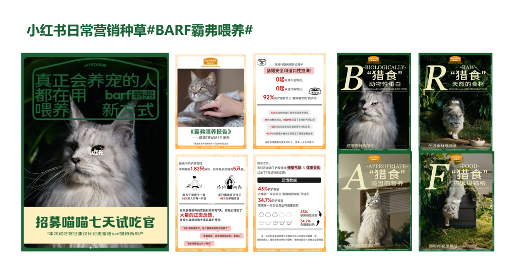 松鼠跃动×麦富迪：品牌高端化第一枪，战略核心品线打造超级策略-广告人干货库