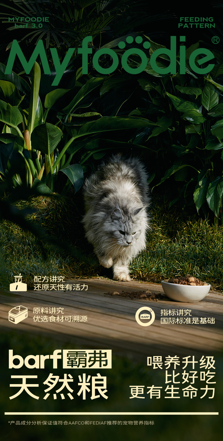 广告人干货库 松鼠跃动×麦富迪:品牌高端化第一枪,战略核心品线打造超级策略-广告人干货库
