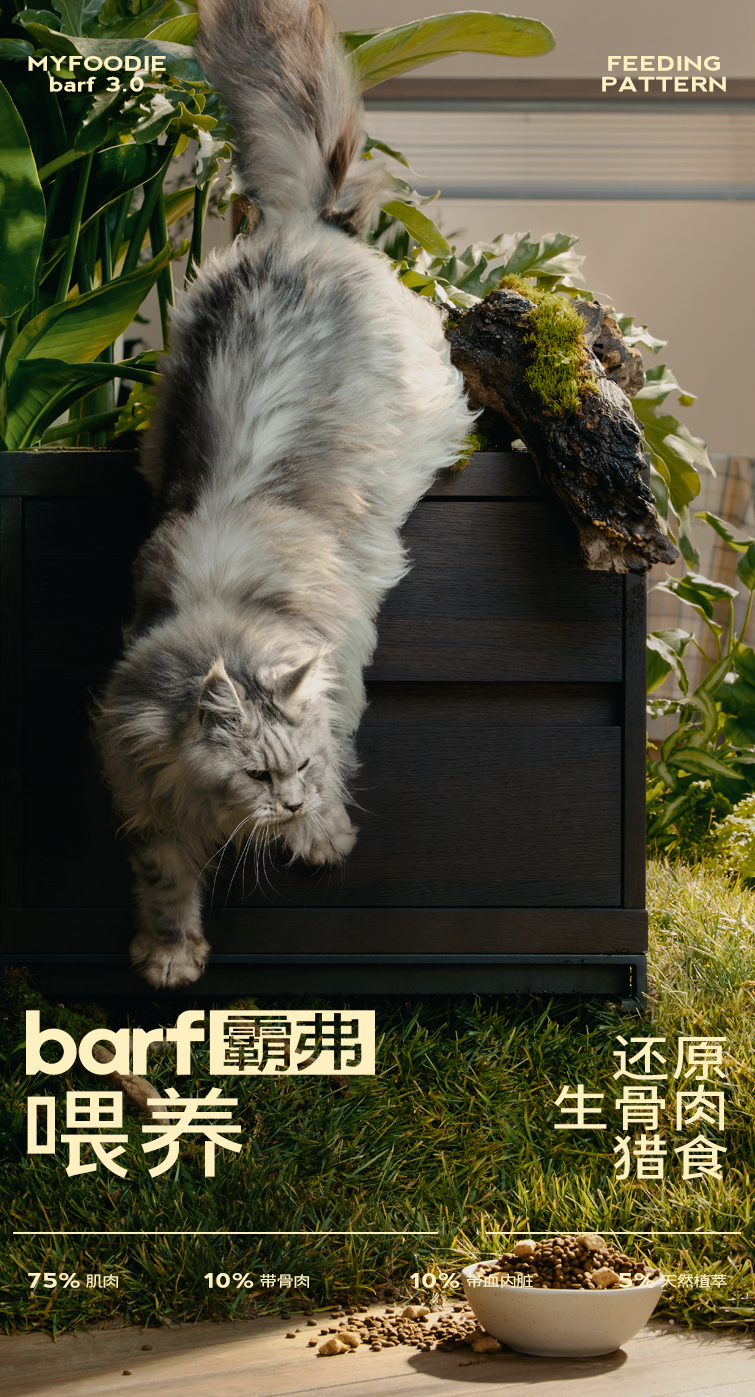 广告人干货库 松鼠跃动×麦富迪:品牌高端化第一枪,战略核心品线打造超级策略-广告人干货库