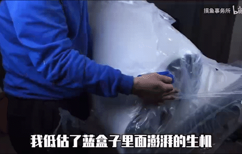 广告人干货库