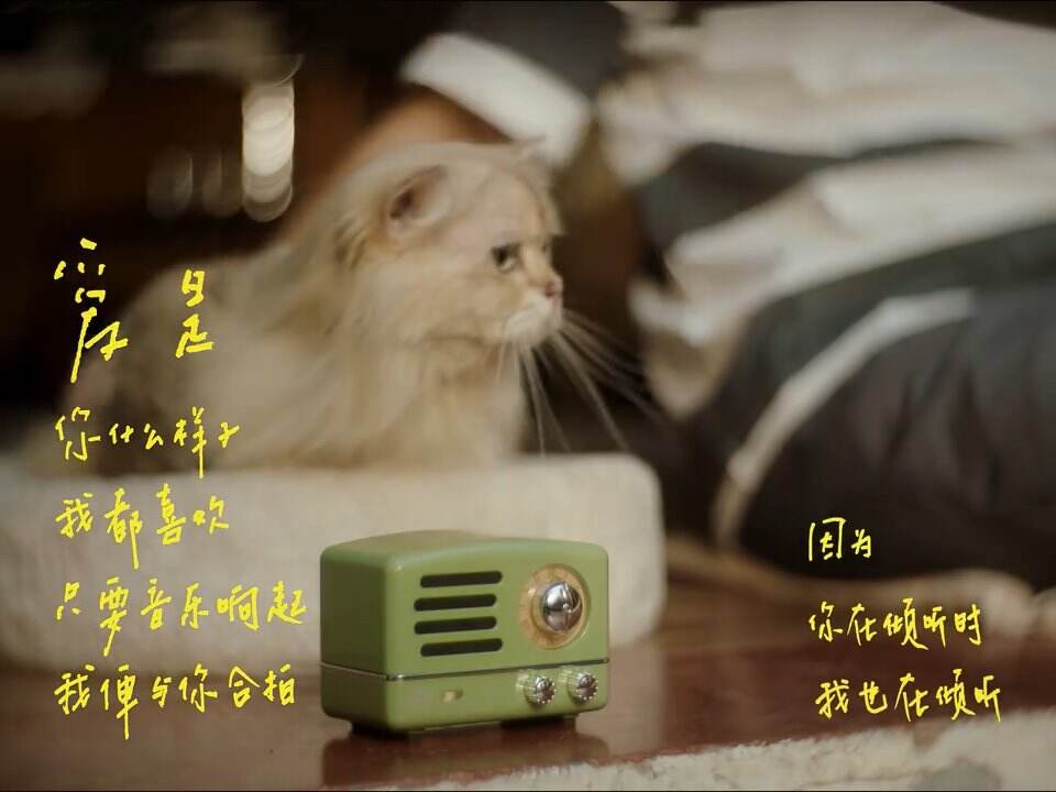 广告人干货库 猫王音响七夕短片:只要音乐响起,我便与你合拍-广告人干货库