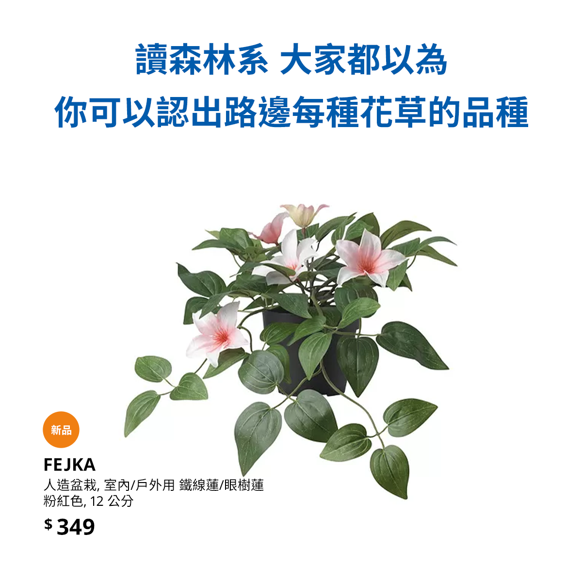 广告人干货库 发疯文案后,宜家发布“大家都以为”系列海报-广告人干货库
