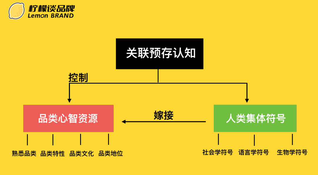 广告人干货库 一文看懂定位、华与华-广告人干货库
