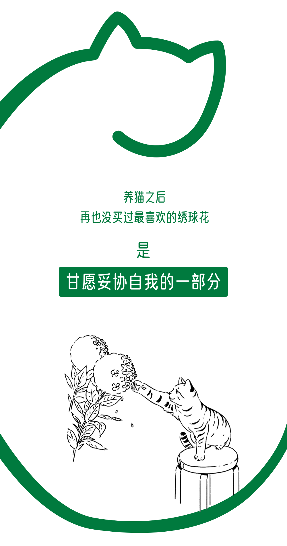 滴露90年：专注保护的力量-广告人干货库