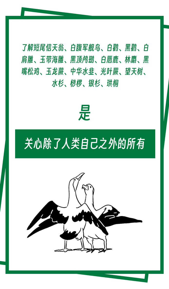 滴露90年：专注保护的力量-广告人干货库