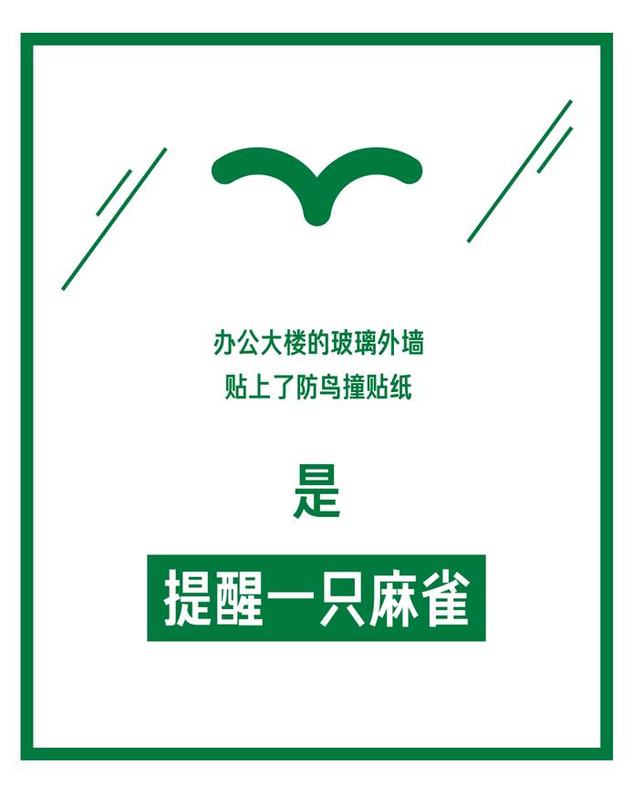 滴露90年：专注保护的力量-广告人干货库