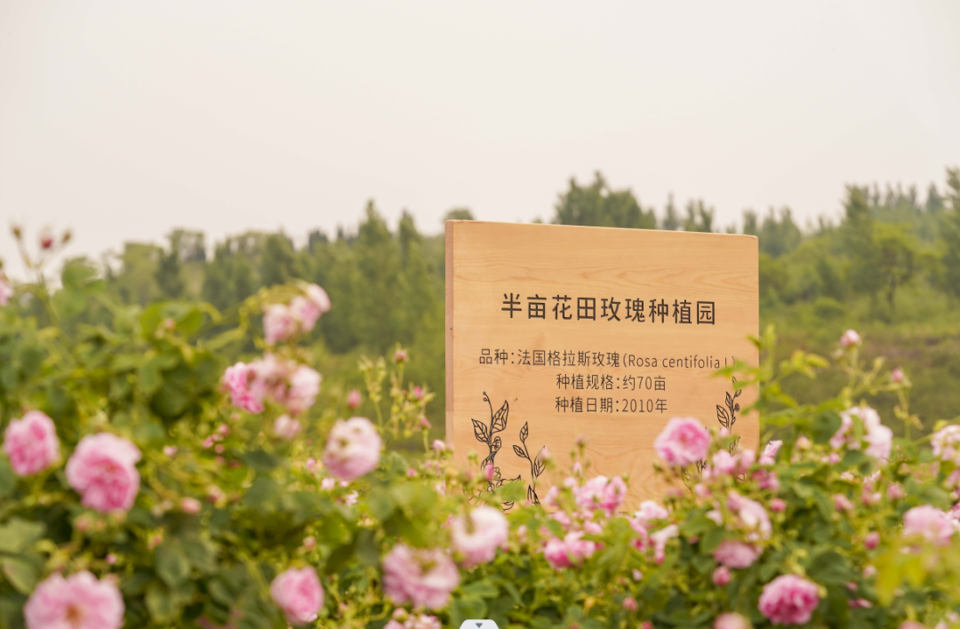 广告人干货库 致老板们:你的产品超级好,但是为什么用户不买单?-广告人干货库