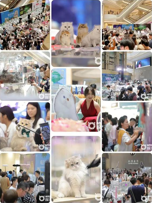 这50个mall堪称内地商场“显眼包”，有看点又有人气！-广告人干货库