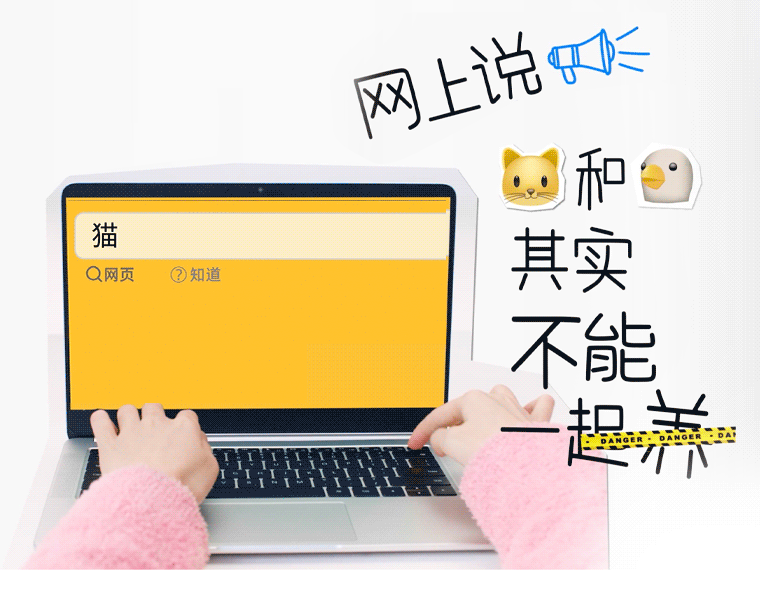 炫口元气森林，福气会鸟你的！okk. × 元气森林-广告人干货库