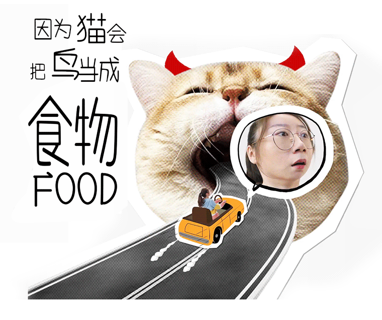 炫口元气森林，福气会鸟你的！okk. × 元气森林-广告人干货库