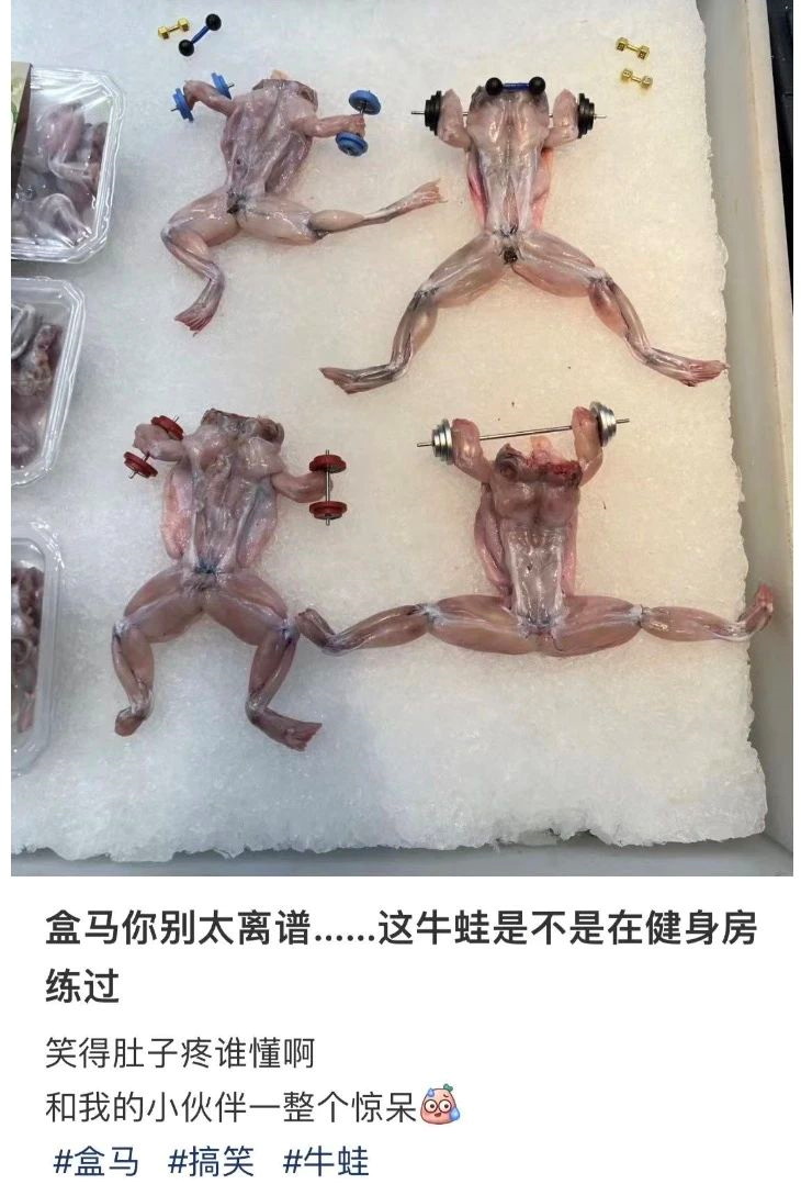 广告人干货库 广告人干货库