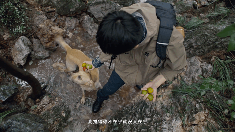 广告人干货库 可隆:这一次,我们被大自然教做人了-广告人干货库