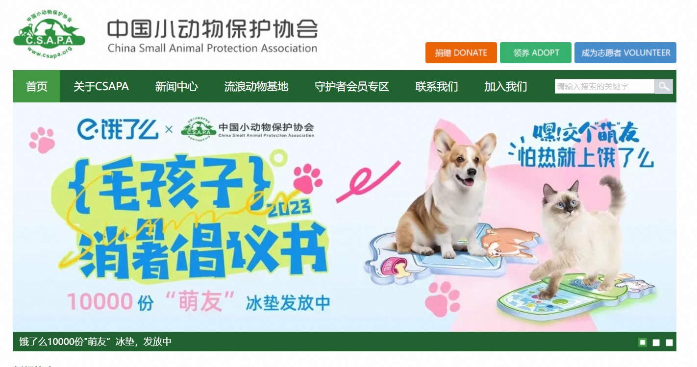 饿了么发起毛孩子消暑倡议书-广告人干货库