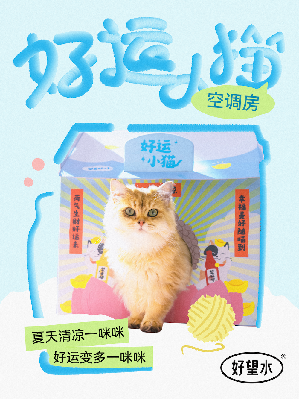 好望水为猫咪送上空调房-广告人干货库