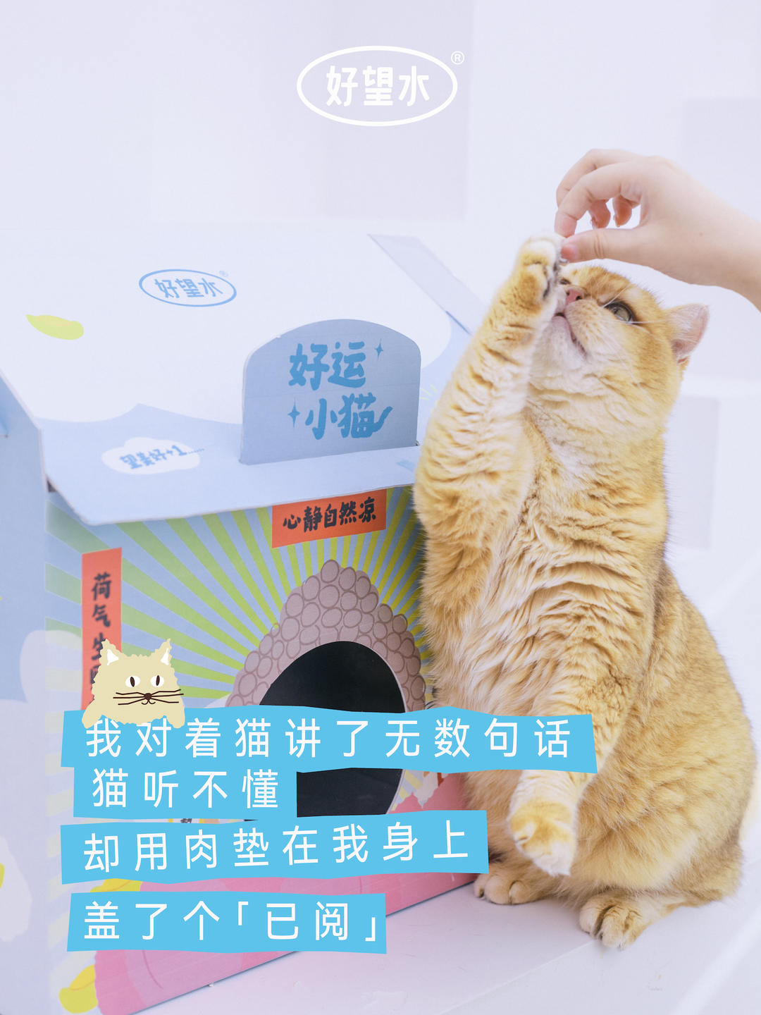 好望水为猫咪送上空调房-广告人干货库
