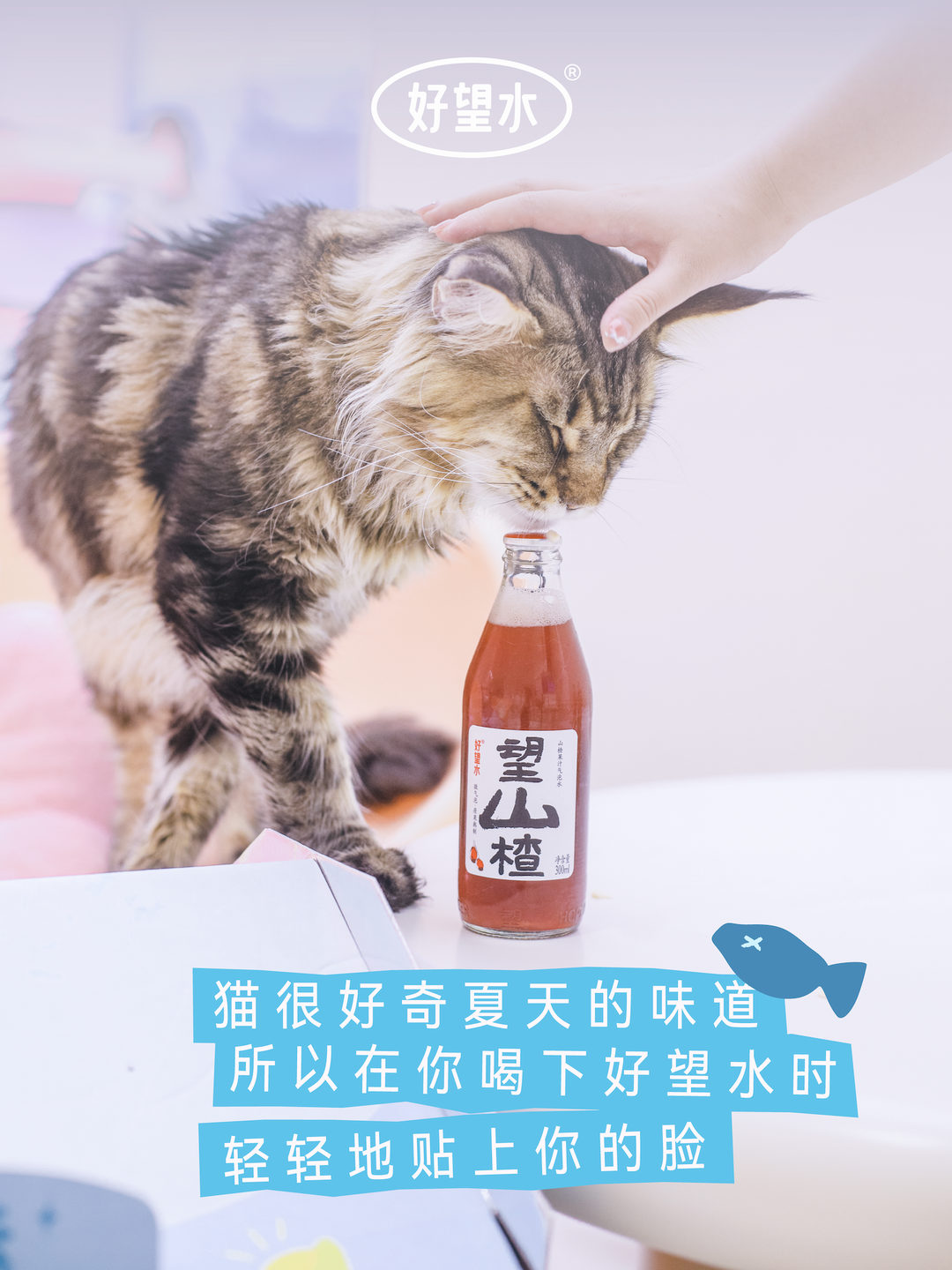 好望水为猫咪送上空调房-广告人干货库