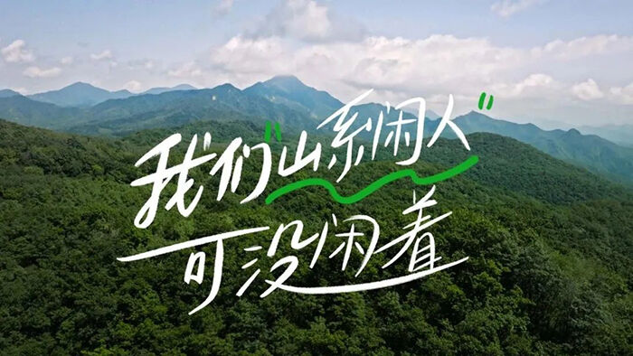 广告人干货库