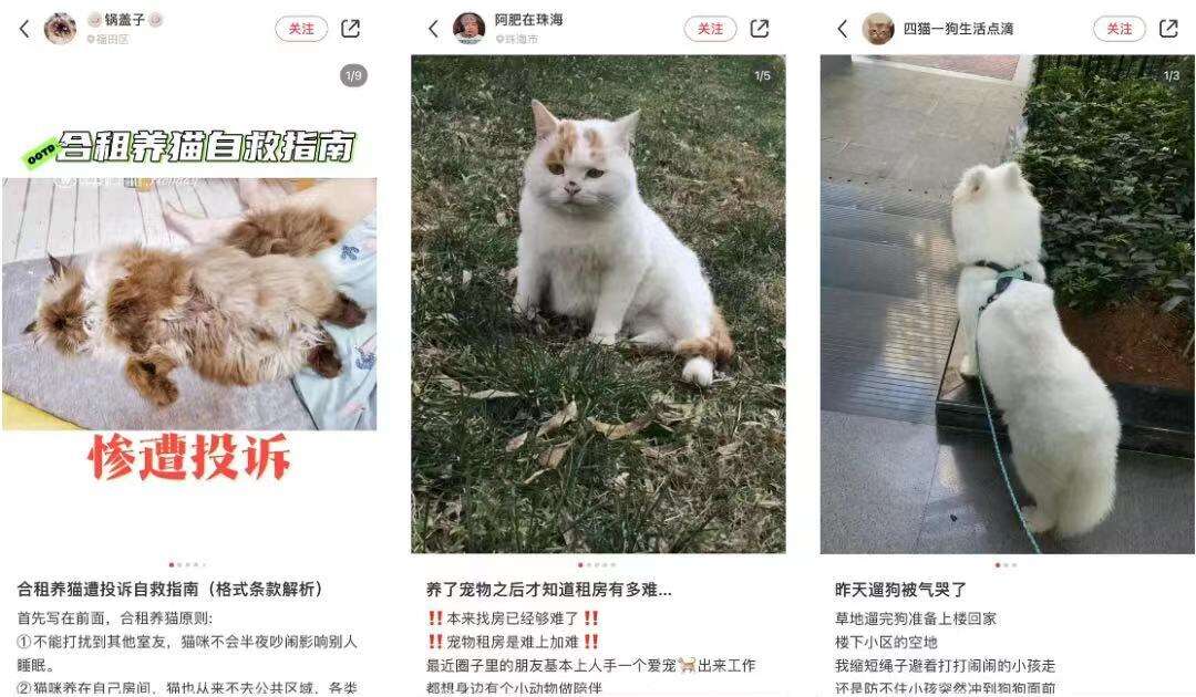 广告人干货库 贝壳:住不住得惯,毛孩子说了算-广告人干货库
