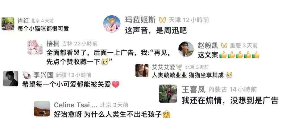 广告人干货库 贝壳:住不住得惯,毛孩子说了算-广告人干货库