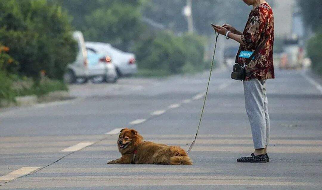 广告人干货库