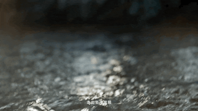 广告人干货库 SG胜加x可隆:一个寻找并收获确定的故事-广告人干货库