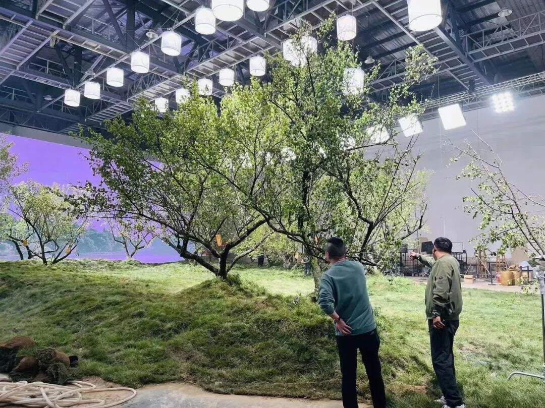 广告人干货库 溜溜梅X文明 青梅好味向未来-广告人干货库