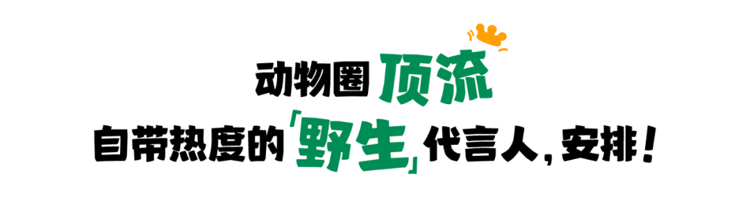 广告人干货库 首个全国生态日,有顶流代言?火速吃瓜!-广告人干货库