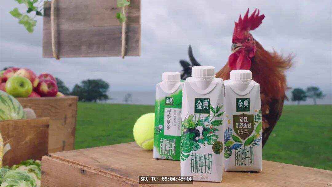 广告人干货库 广告人干货库
