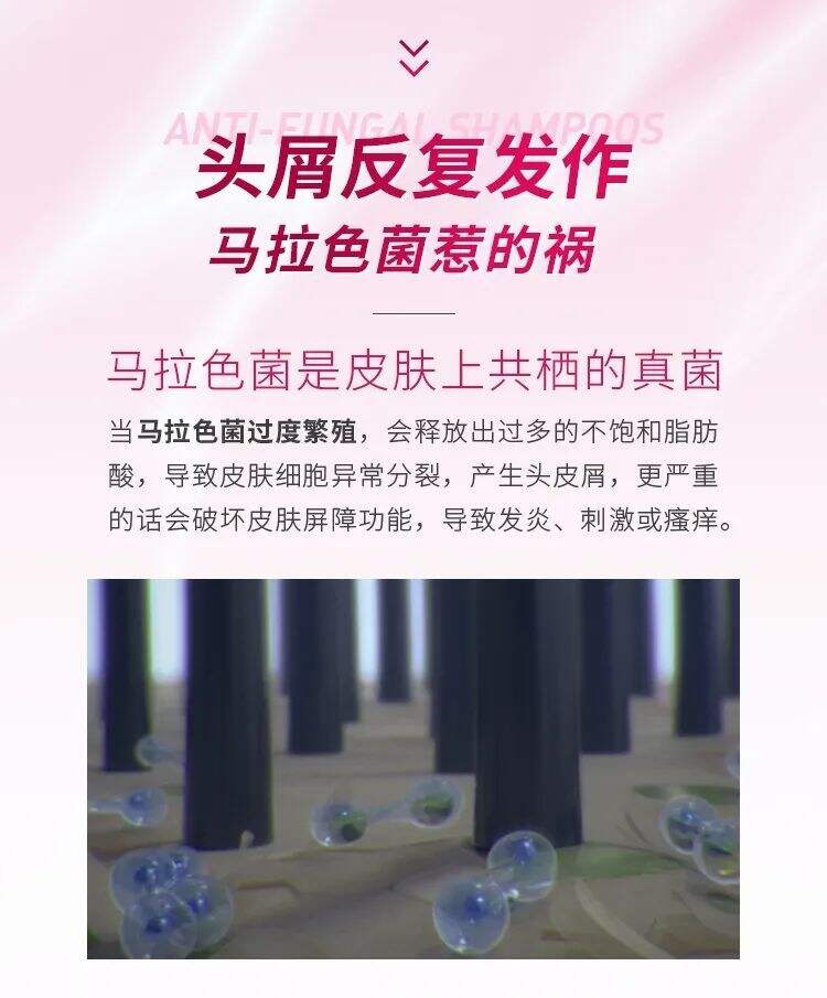 广告人干货库 采乐 x 25hours:国民去屑老品牌重焕生机-广告人干货库