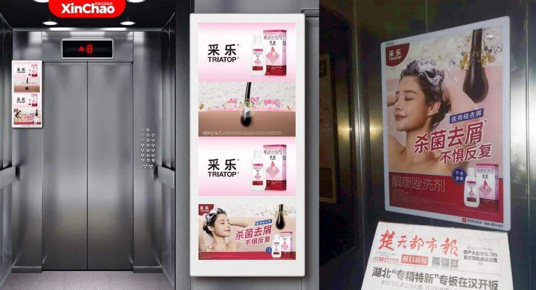 广告人干货库 采乐 x 25hours:国民去屑老品牌重焕生机-广告人干货库
