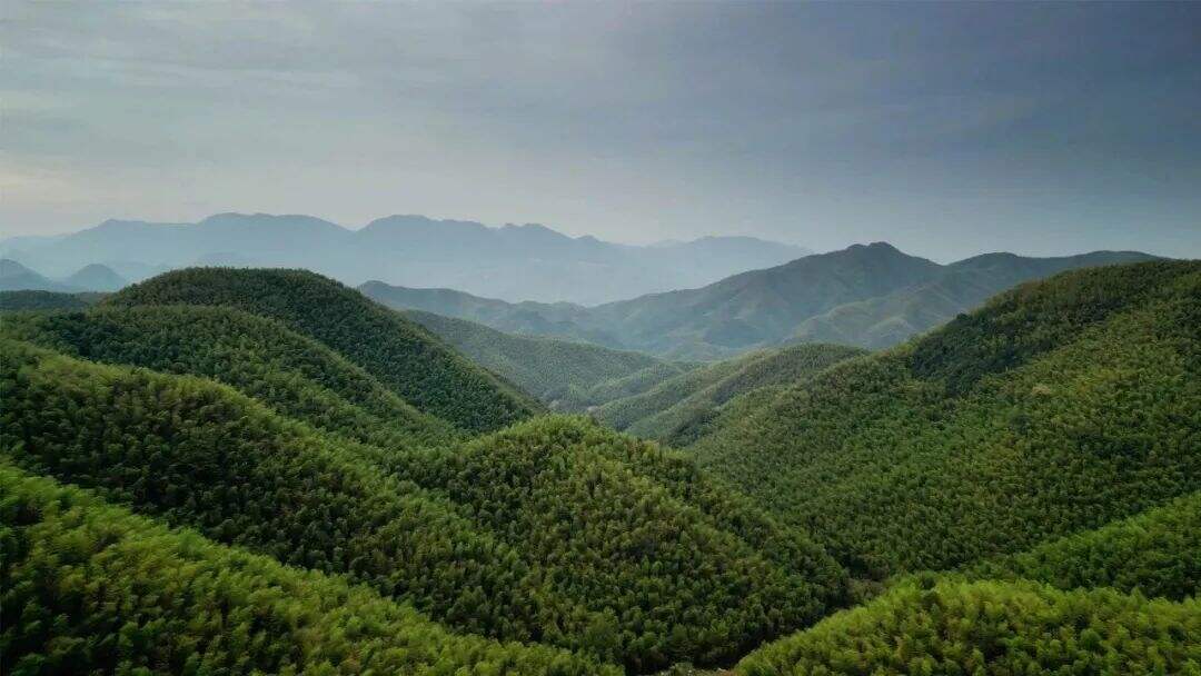 bangX中秋重磅献礼！开光宝盒！-广告人干货库