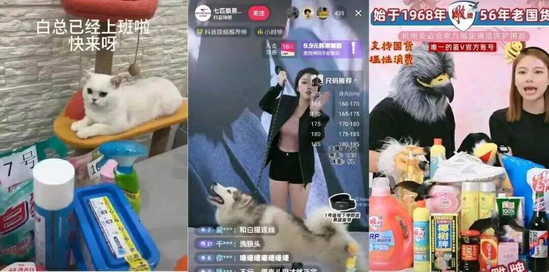 广告人干货库 广告人干货库