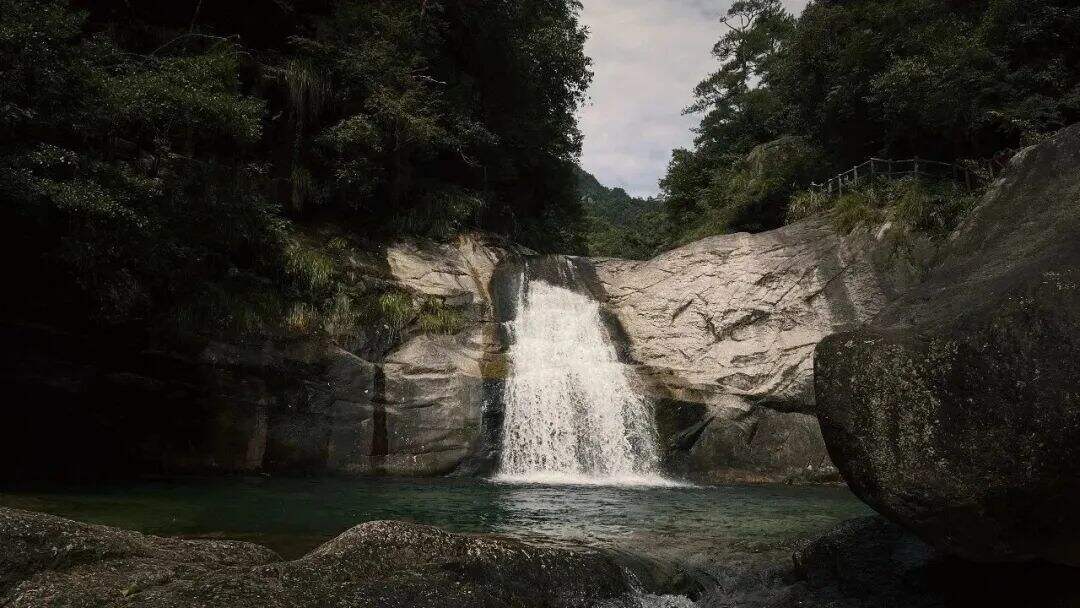 广告人干货库