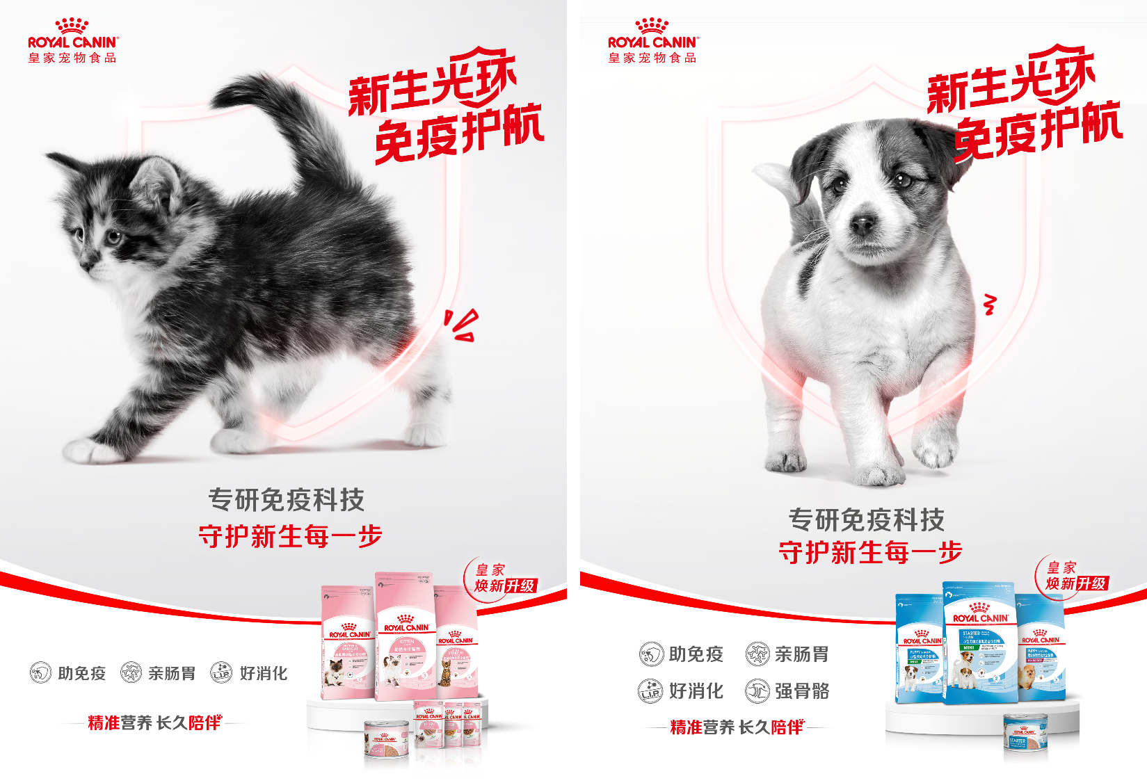广告人干货库