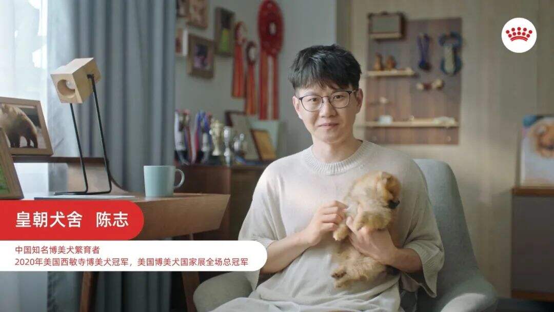 广告人干货库
