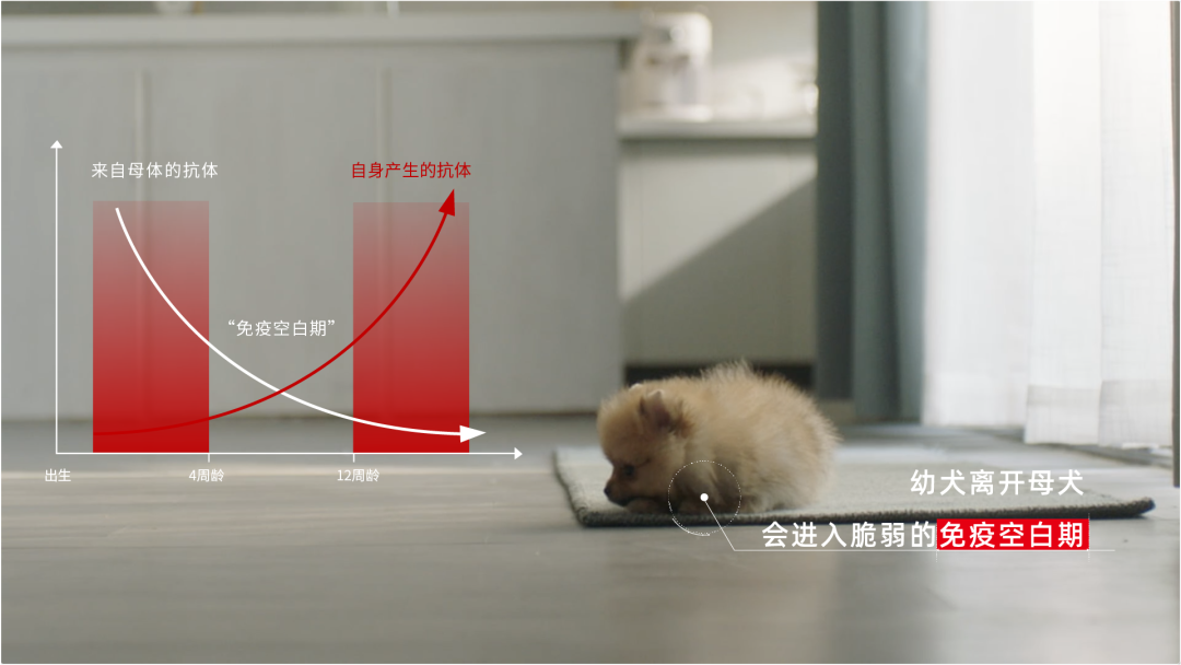 广告人干货库