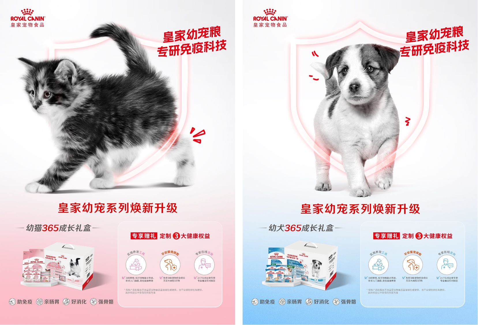 广告人干货库