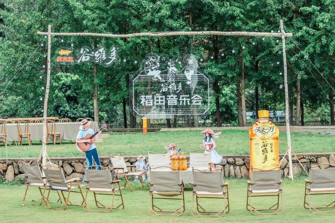广告人干货库 音乐节真火,预算低怎么做营销?-广告人干货库