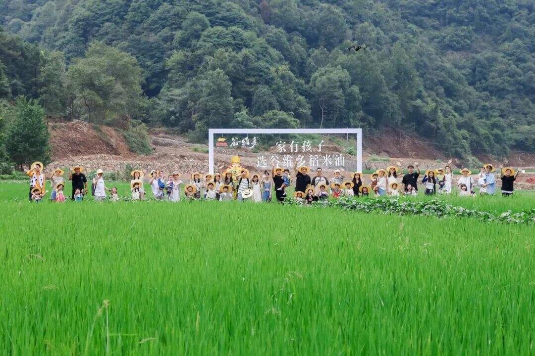 广告人干货库 音乐节真火,预算低怎么做营销?-广告人干货库