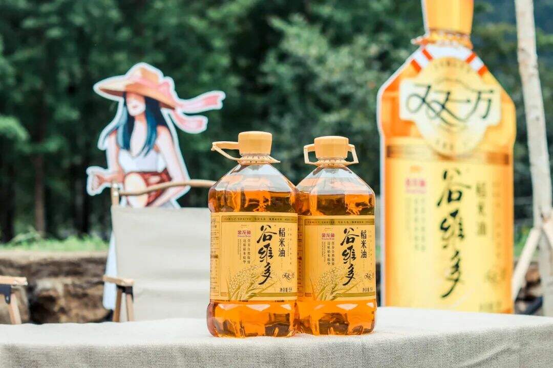 广告人干货库 音乐节真火,预算低怎么做营销?-广告人干货库