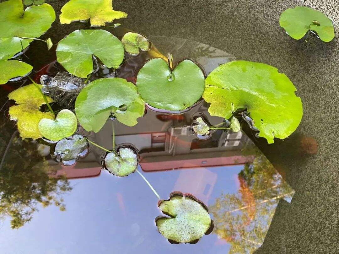广告人干货库 广告人干货库